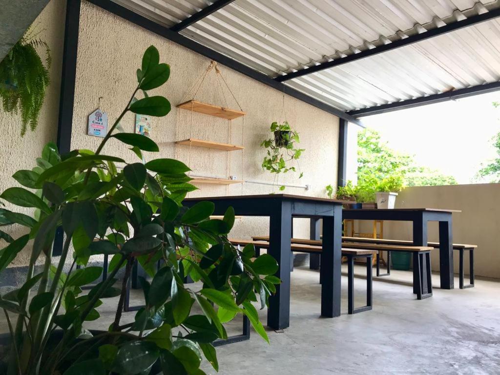 Hostel Freeway Μπραζίλια Εξωτερικό φωτογραφία